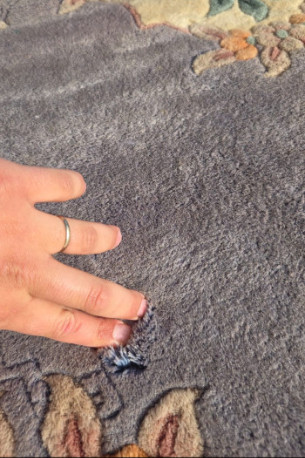 contact about area rug cleaning in venice carpet cleaning in venice area rug cleaning ca carpet cleaning ca contact about area rug cleaning in venice carpet cleaning in venice area rug cleaning ca carpet cleaning ca